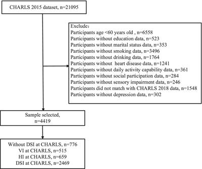 A study on the mechanism of how sensory impairment affects depression in the elderly: the mediating roles of daily activity capability and social participation